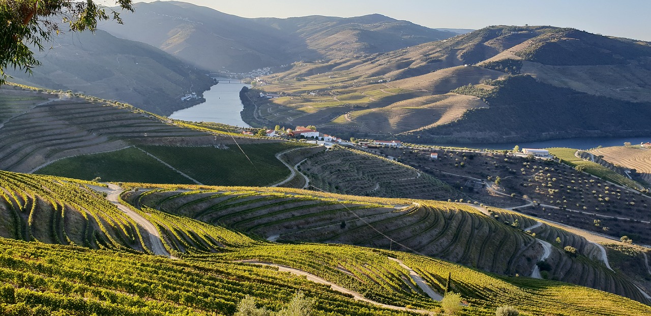 Douro Valley Ramiro